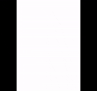 sportsklubbenbrann  GIF