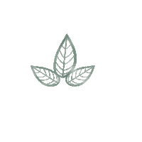 Plants Leaves Sticker