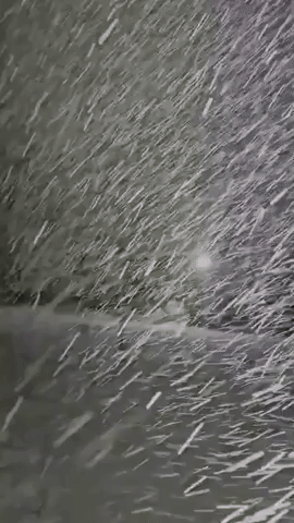 Heavy Snow Seen in Massachusetts Backyard