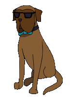 Dog Dancing Sticker
