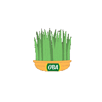 Novruz Yumurta Sticker by OBA Marketler