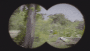 Wes Anderson Girl GIF by Dayglow