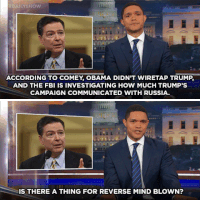 GIF by The Daily Show with Trevor Noah