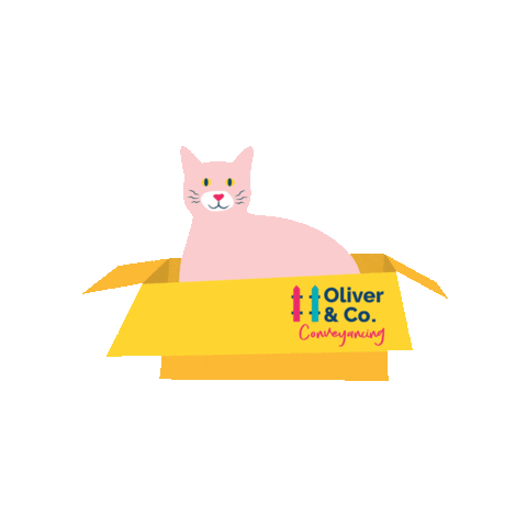 OliverandCoConveyancing cat in a box oliver co Sticker