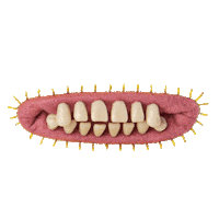 Eyes Teeth Sticker by Spin Master