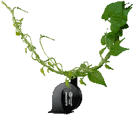 Elephant Jungle Sticker by HELLA Group