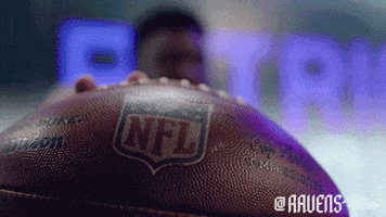 Football Celebrate GIF by Baltimore Ravens