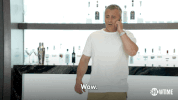 matt leblanc lol GIF by Showtime