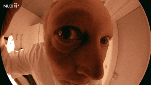 Alexander Skarsgard Eyes GIF by MUBI