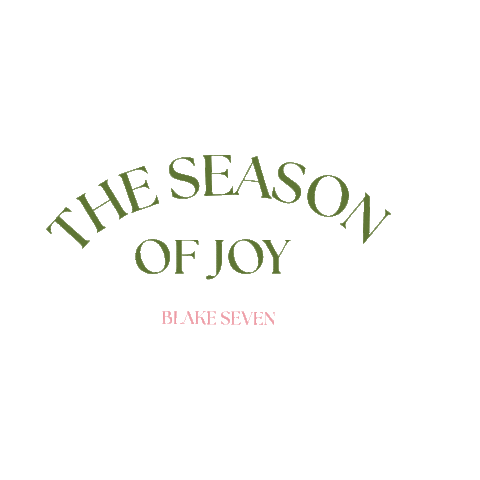 Joy Season Sticker by BLAKE SEVEN