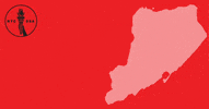 nycDSA dsa staten island democratic socialists of america nycdsa GIF