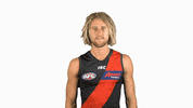 essendonfc bombers dons essendon essendon fc GIF