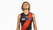 essendonfc bombers dons essendon essendon fc GIF