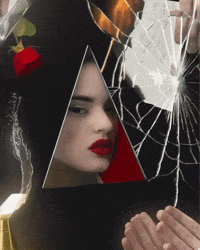 GIF by BOLDTRON