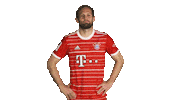 Bayern Sticker by Bundesliga