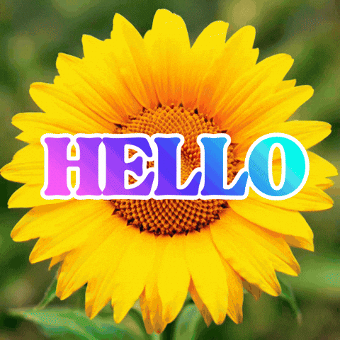 How Are You Hello GIF