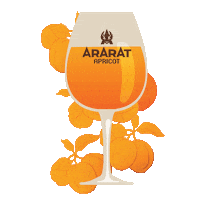 Alcohol Apricot Sticker by ARARAT Brandy