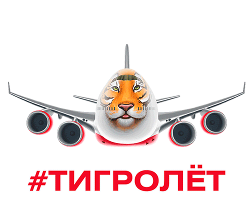 aircraft Sticker by Rossiya Airlines