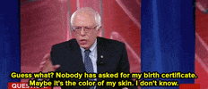 bernie sanders politics GIF