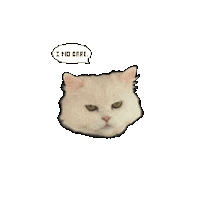 Meh Grumpy Cat Sticker by Cat Therapy & Rescue Society