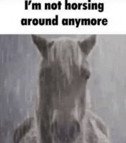 Sad Horse GIF