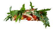 Burger Salad Sticker by HANS IM GLÜCK