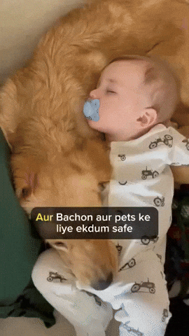 GIF