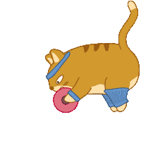 Cat Fitness Sticker by Share It Again