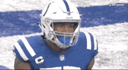 Indianapolis Colts Football GIF by NFL
