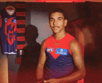 Melbourne Demons Afl GIF by Melbournefc