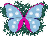 Sticker Butterfly Sticker