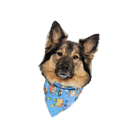 Rugrats Keeshond Sticker by Geekster Pets