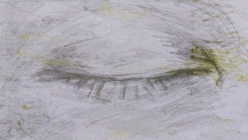 animation art GIF by Will Kim