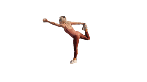 Calisthenics Leotard Sticker by Liza Anne
