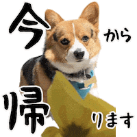 Corgi Milo Sticker