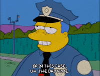 Season 9 Episode 25 GIF by The Simpsons