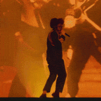 Tyler The Creator Tour GIF by Respective