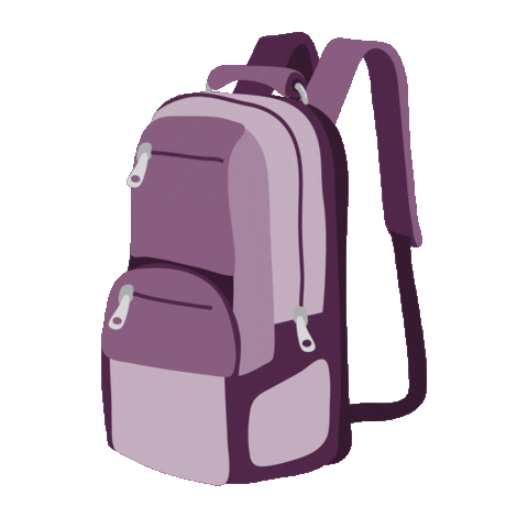 travel bag Sticker by HolidayPirates