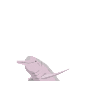 Colombia Agua Sticker by Fundación Omacha