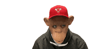 Dab Dabbing Sticker by MonkeyMedia