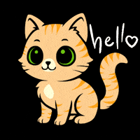 Cat Hello GIF