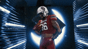 Lets Go Football GIF by gamecocksonline
