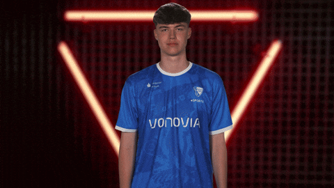 Vbl Zocker GIF by Bundesliga