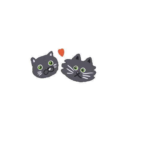 Kotmarikot giphyupload cat cats cat love Sticker