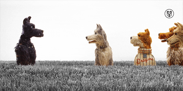 listen wes anderson GIF by Fox Searchlight