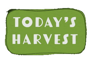 Home Grown Garden Sticker by Danyen
