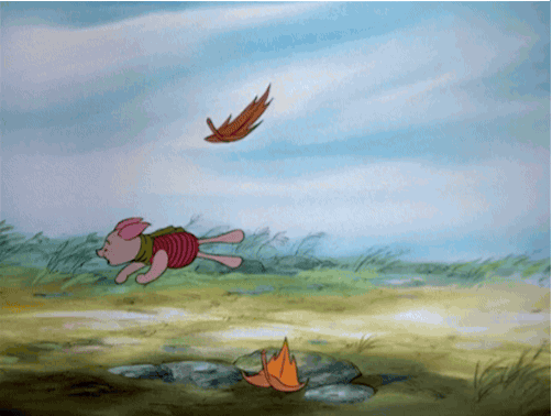aldoguerra5771761e11204ccb9d8b057d238e4b57 giphyupload GIF