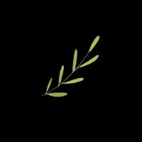desireemesaescribano deplant1 GIF