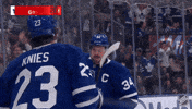 Happy National Hockey League GIF by NHL