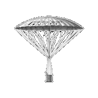 Flying Old Fashioned Sticker by The Wild Curiosity